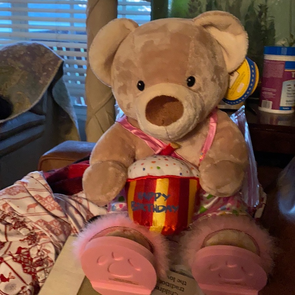 Build a Bear